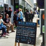 Wild Scoops