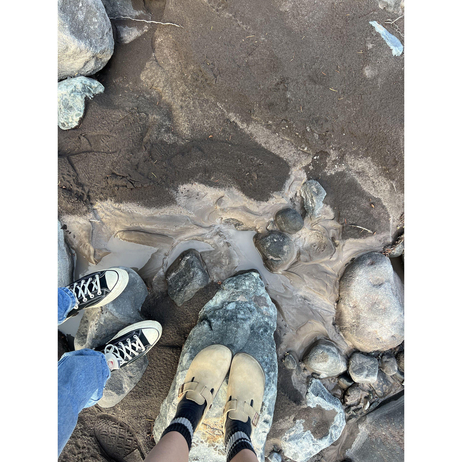 Mount Rainier campground walk