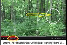 Salt Fork State Park