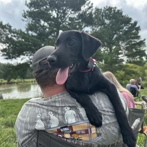 Our Pet Fund!
