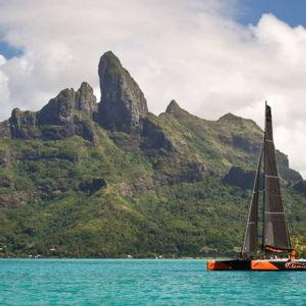 Catamaran Excursion