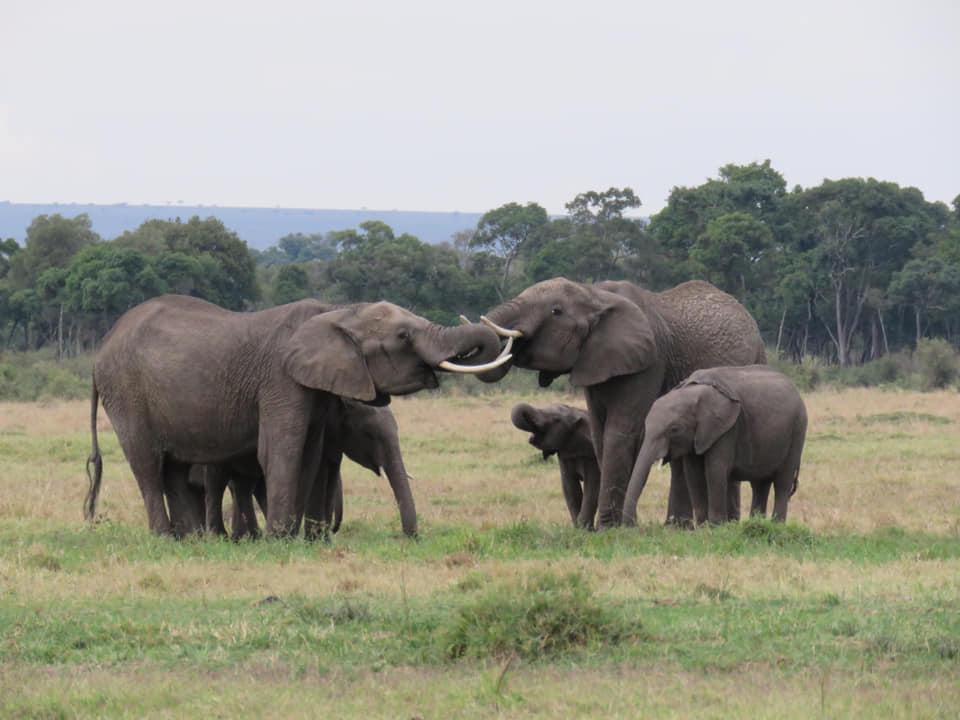 The Wedding Website of Bailey Coe and Jason Fee