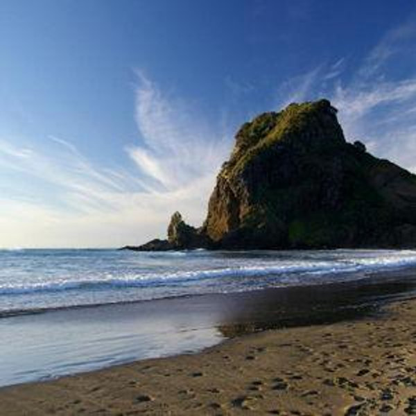 Piha Waitakere Rainforest Day Trip - Auckland