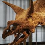 Louisiana Art & Science Museum