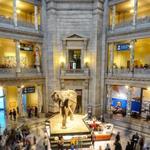 The many museums of Washington, DC