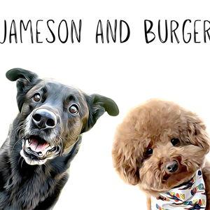 Year's Supply Of Pet Treats & Toys!