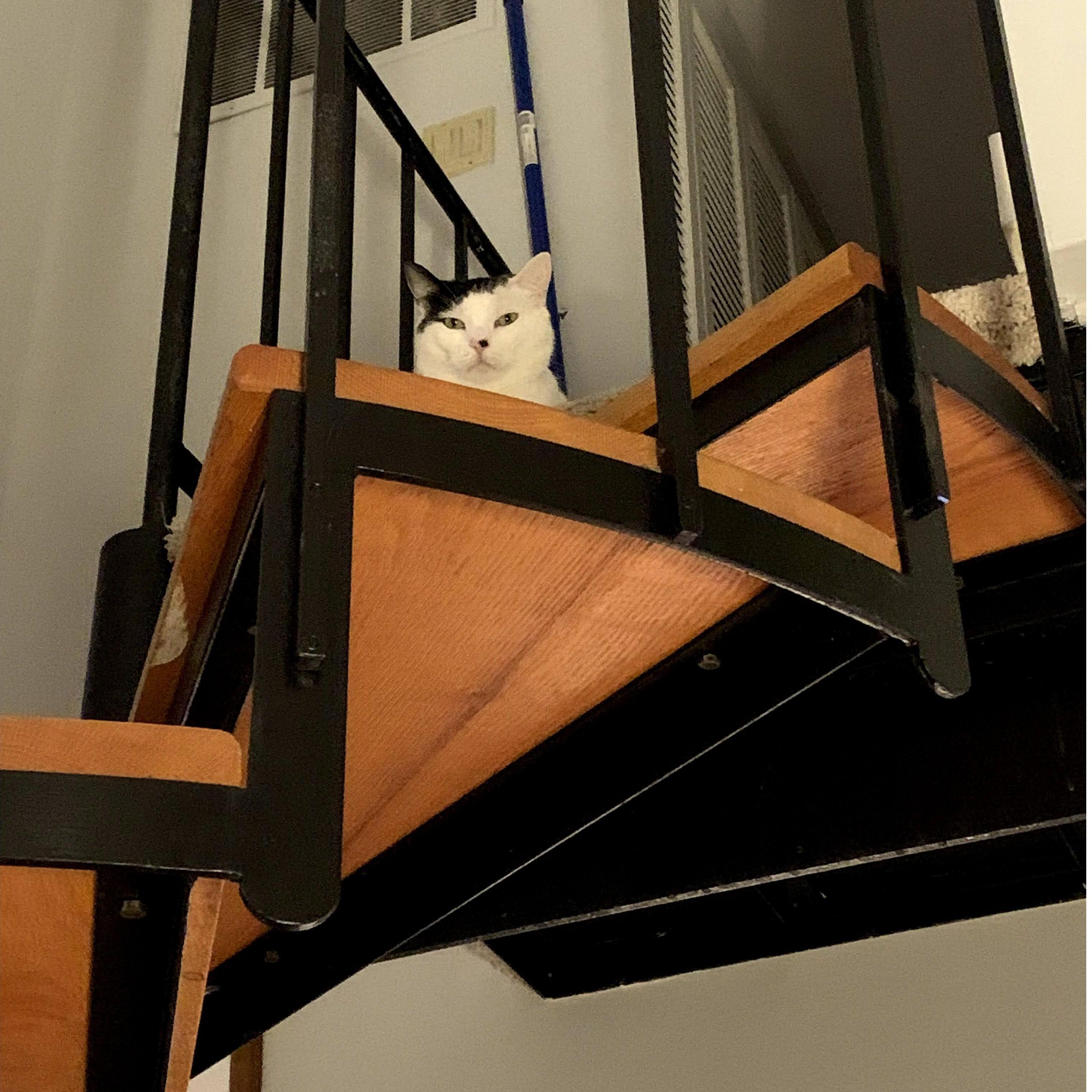 "I am the night"