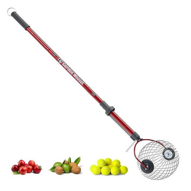 GARDEN WEASEL Large Nut Gatherer Roller – Nut Collector Tool for Walnuts, Sweet Gum Balls, Tennis Balls and More – Yard Picker Upper with Durable Cage and Ergonomic Handle - Newest Model
