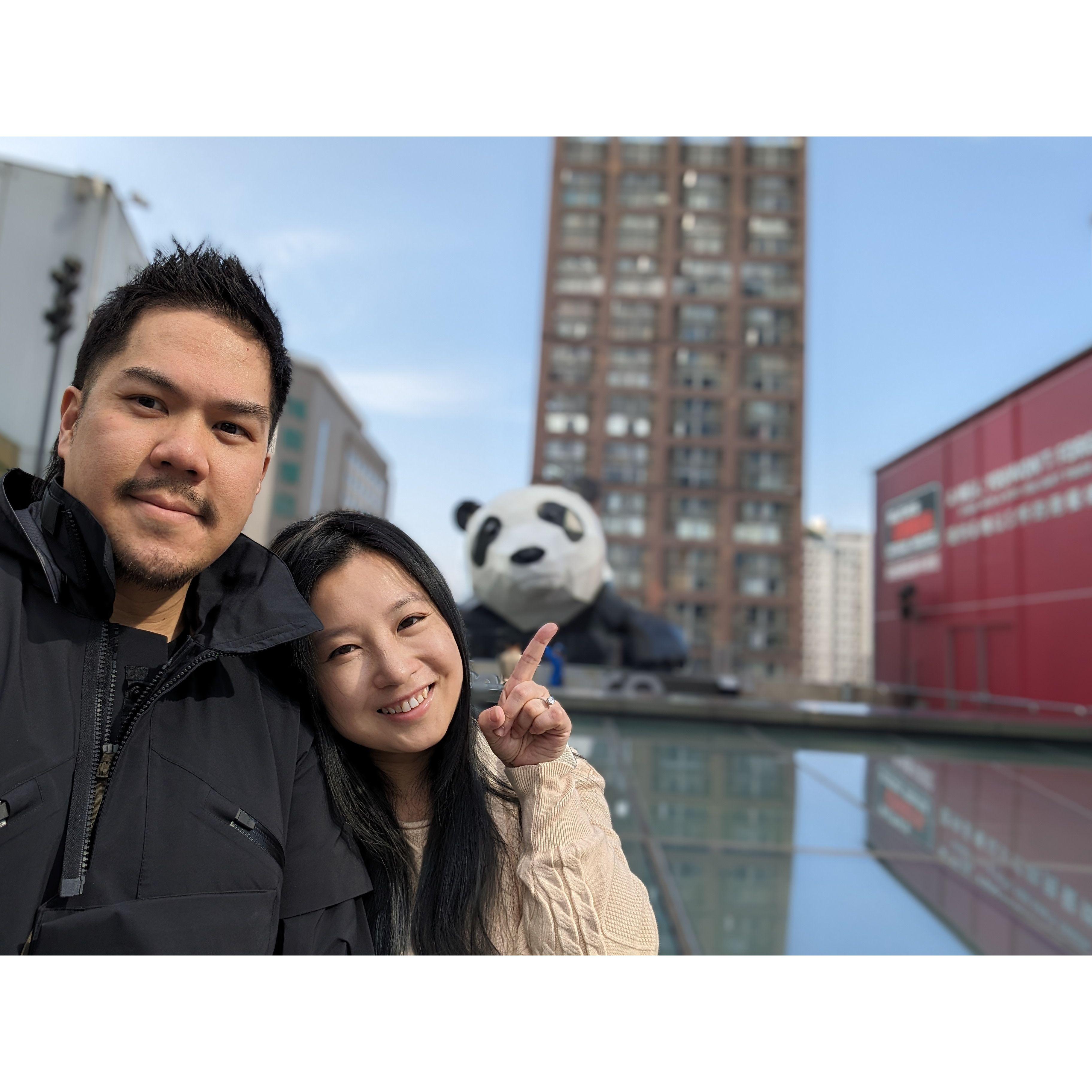 Visiting panda in Chengdu, China
