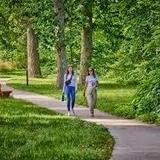 The Morton Arboretum