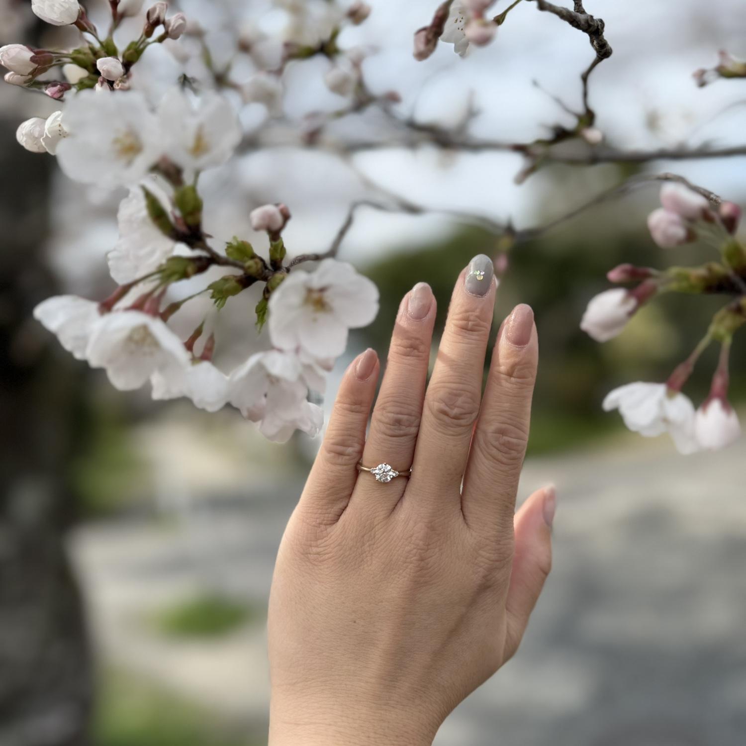 Fancy engagement ring picture with cherry blossoms! (March 31, 2025)
