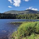 Ward Lake