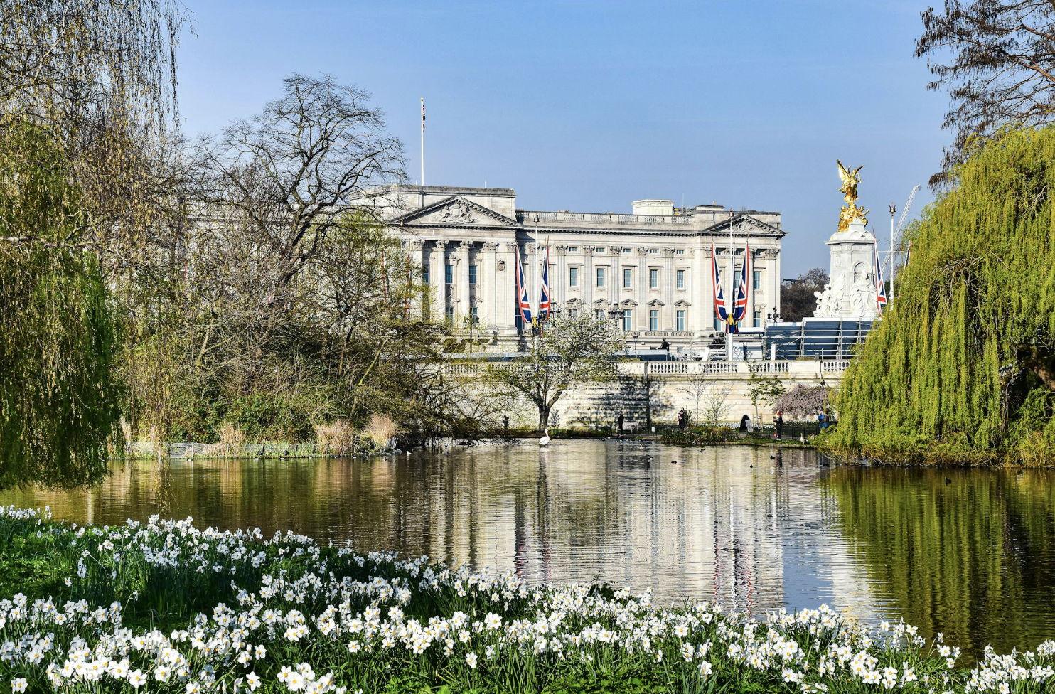 The Wedding Website of James Condon and Meredith Zaritheny