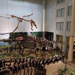 Carnegie Museums of Pittsburgh