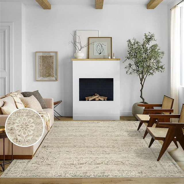BILEEHOME Boho Cream Area Rugs 6x9 for Bedroom Washable Floral Neutral Modern Rug for Living Room,Light Beige and Tan Brown