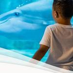 Clearwater Marine Aquarium