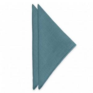 Colorwave Turquoise Cloth Napkin, Set of 2