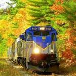 Autumn Leaf Express