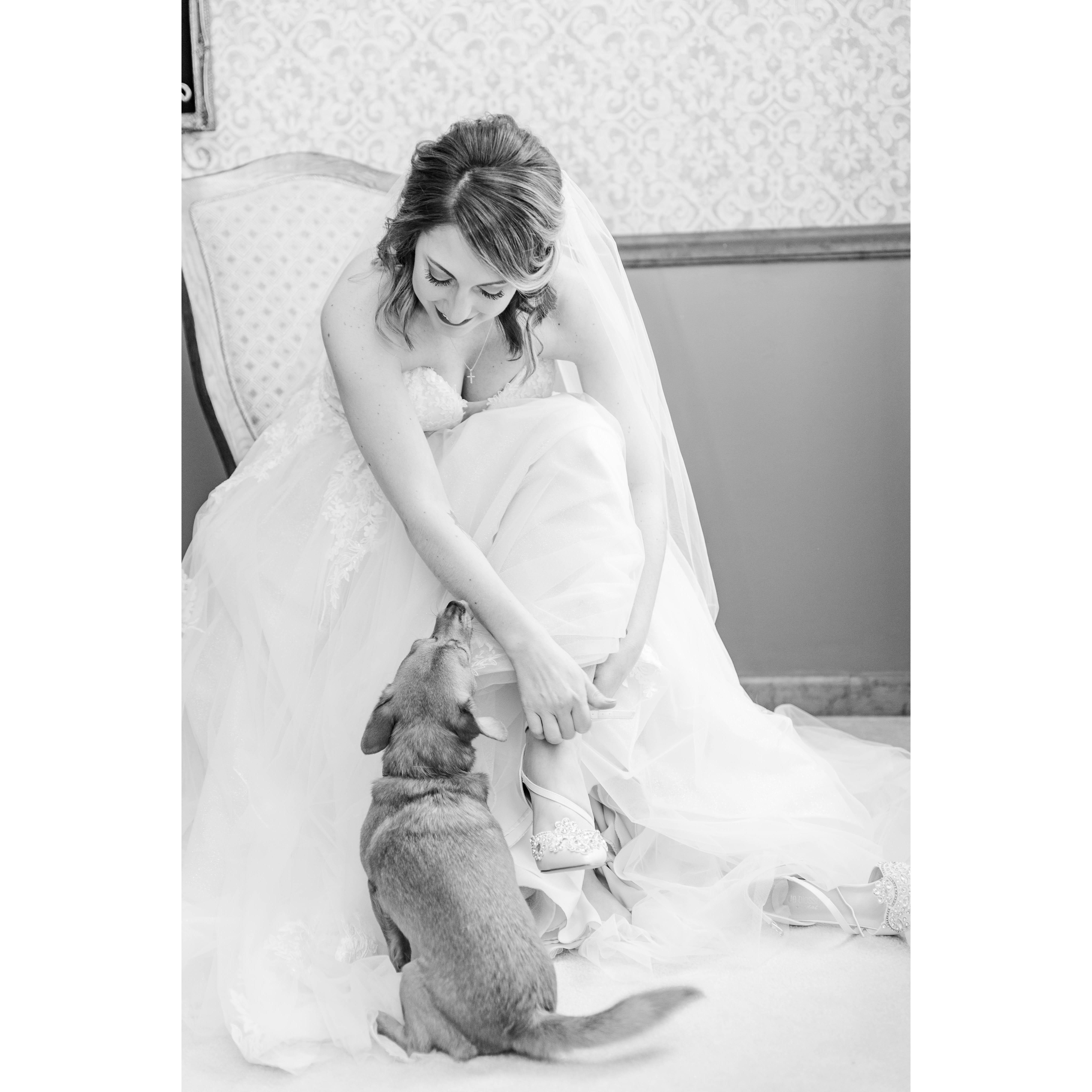 Bentli was so excited to get to be a part of the wedding!