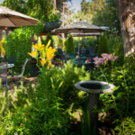 The Stone House Cafe