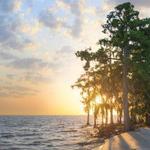 Fontainbleau State Park