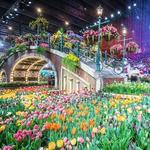 Philadelphia Flower Show