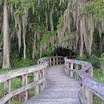 Phinizy Swamp Nature Park