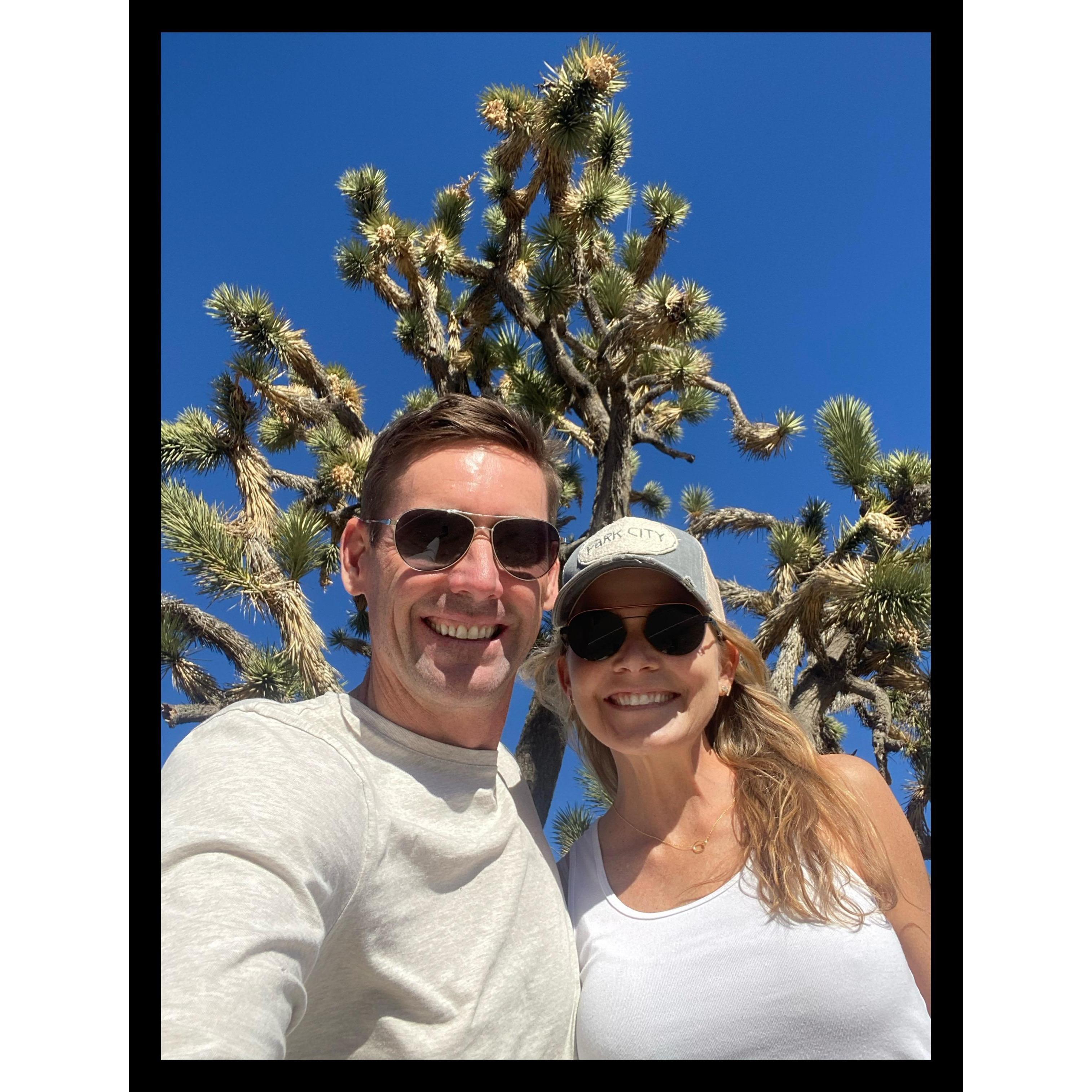 Mojave National Preserve
