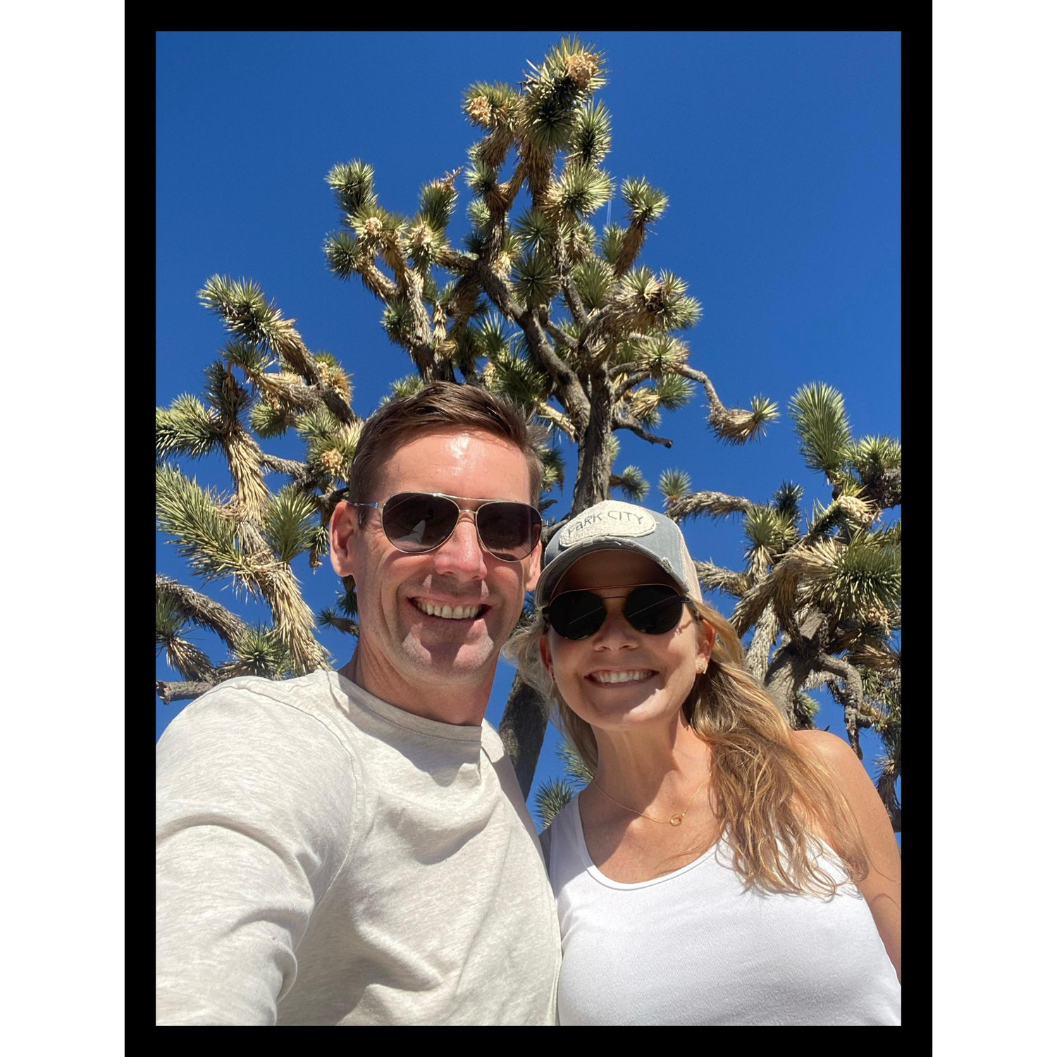 Mojave National Preserve