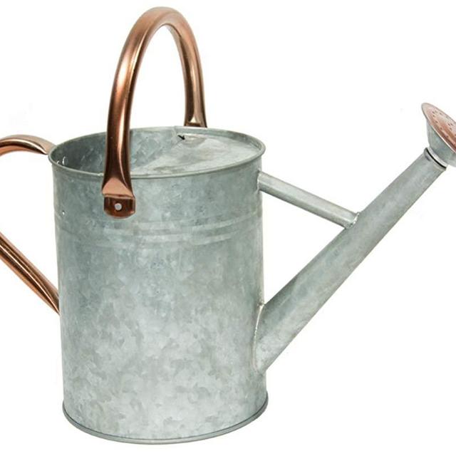yourjoy Steel Watering Can Sliver Galvanized Steel Watering Can with Copper Accents,Removable Rosette-Diffuser,One-Gallon