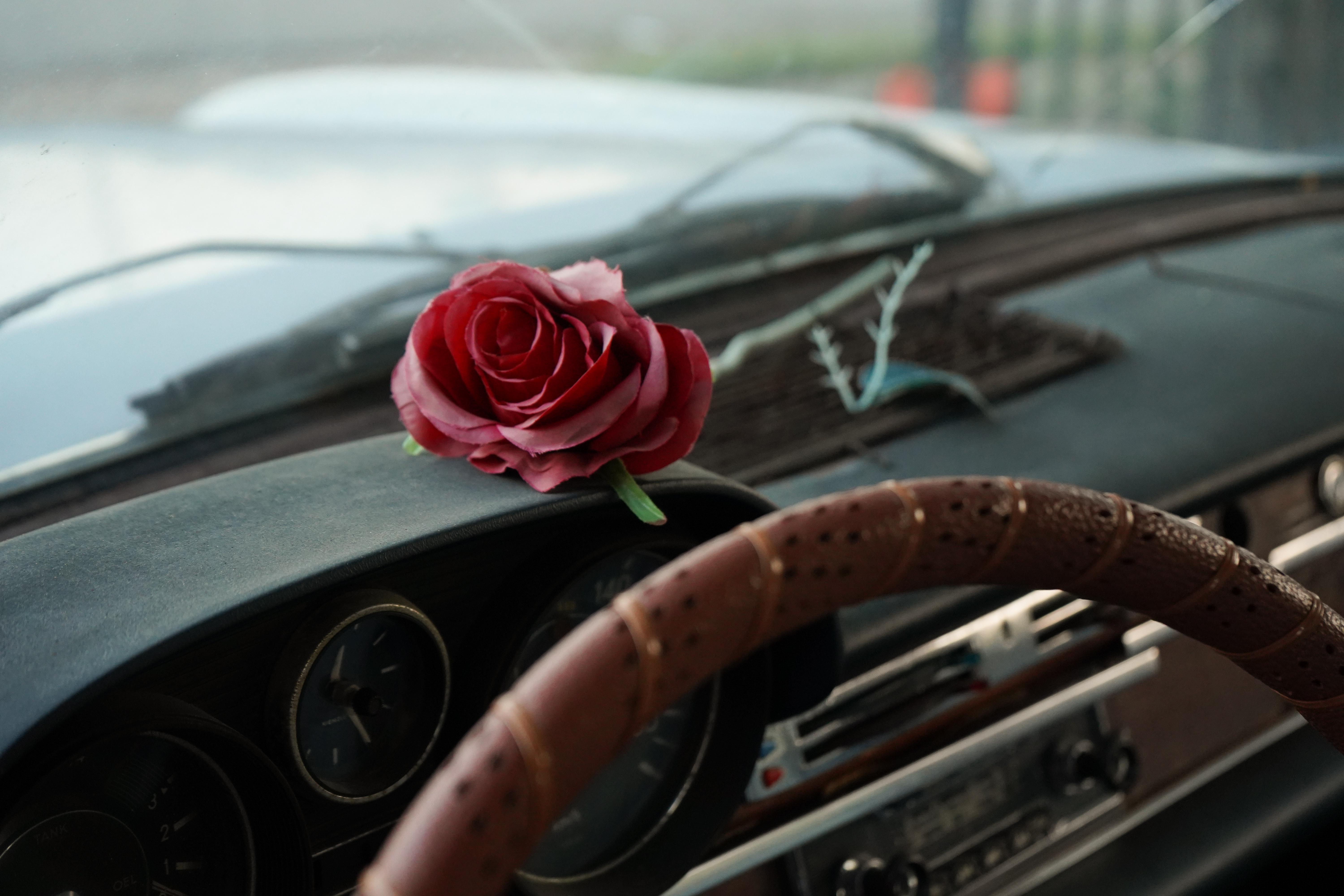 aa6bcc85-c54b-4778-9901-85dc814337bb