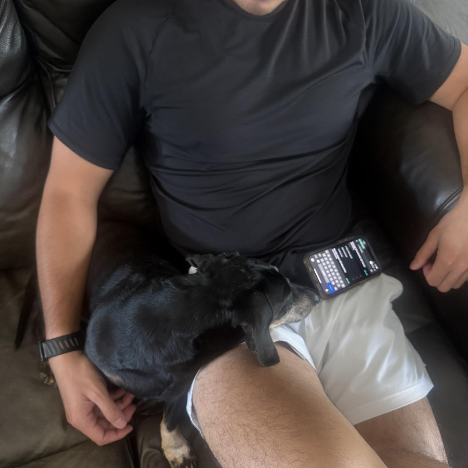Bosco + Bobo = two peas in a pod