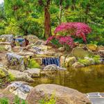 UNC Charlotte Botanical Gardens