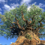 Disney's Animal Kingdom Theme Park