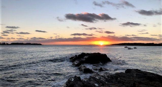 aa6f8eec-5e03-4595-8b43-92e2b5ff1faa