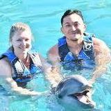 Dolphin Experience