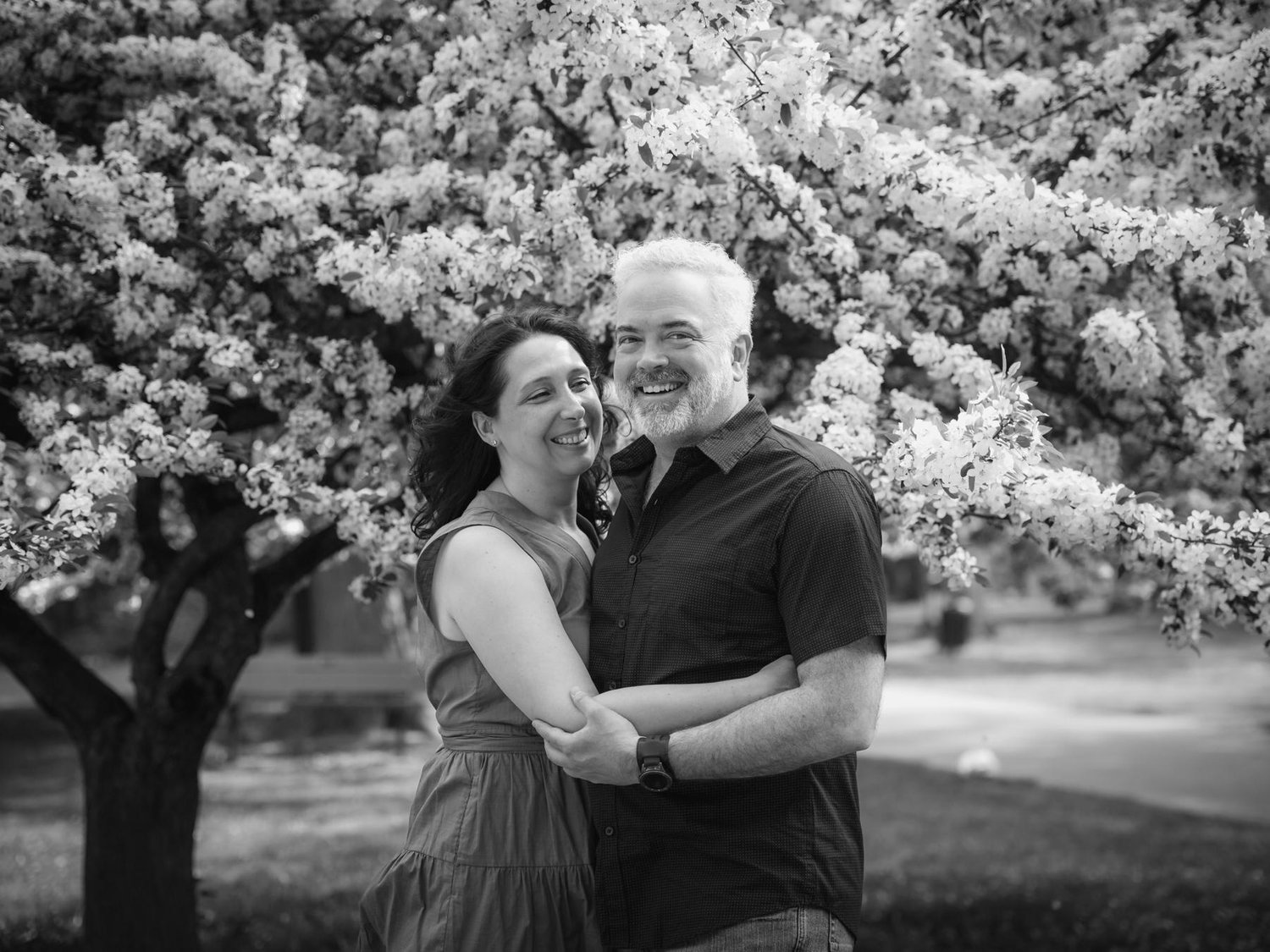 The Wedding Website of Michelle Meredith and David Boutilier