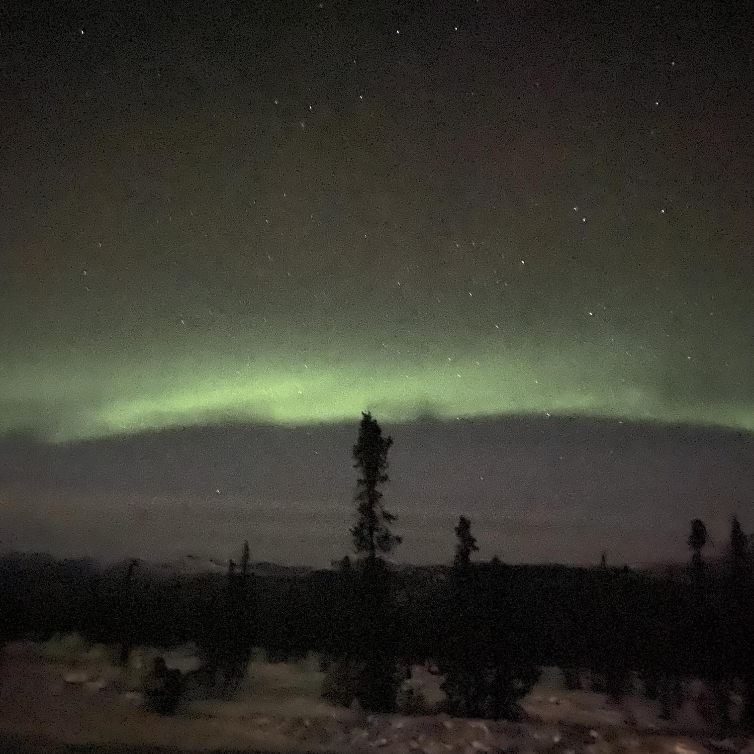 Northern lights in Alaska!