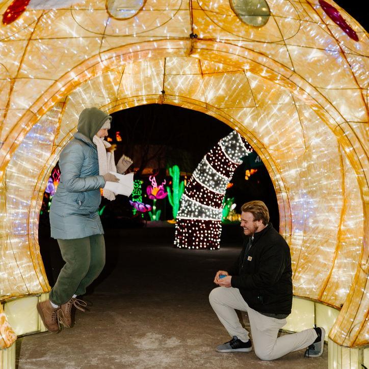 The proposal!