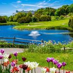 Go Golfing