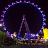 High Roller