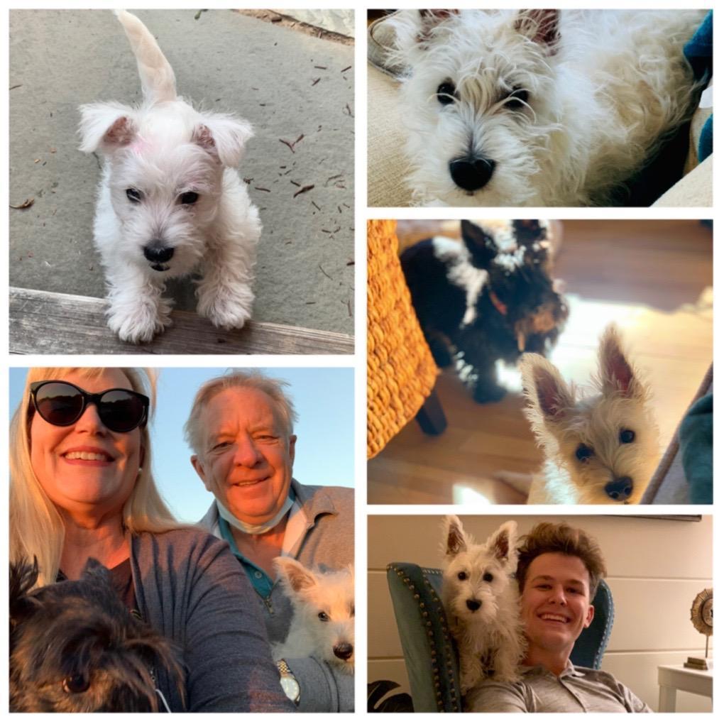 Meet Bixby... my “pacifier” from Mark after our first wedding day was cancelled! 😆🤪