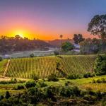 Experience Wine Country