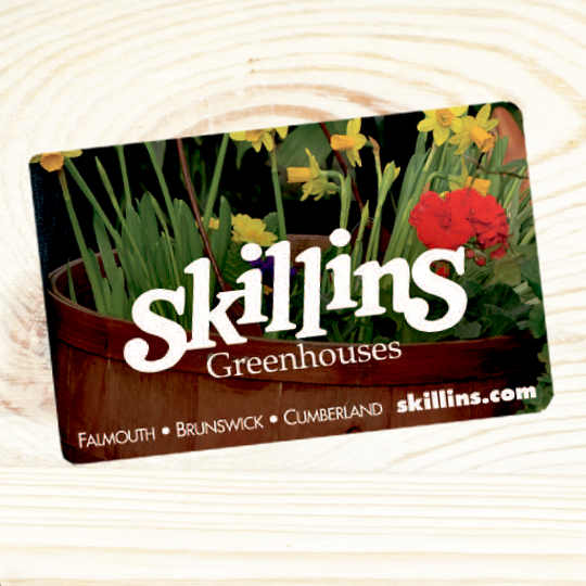 Help start our fruit tree orchard through a Skillins Gift Card ($50)