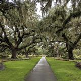 Brookgreen Gardens