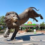 San Diego Zoo