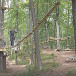 Treescape Aerial Adventure Park