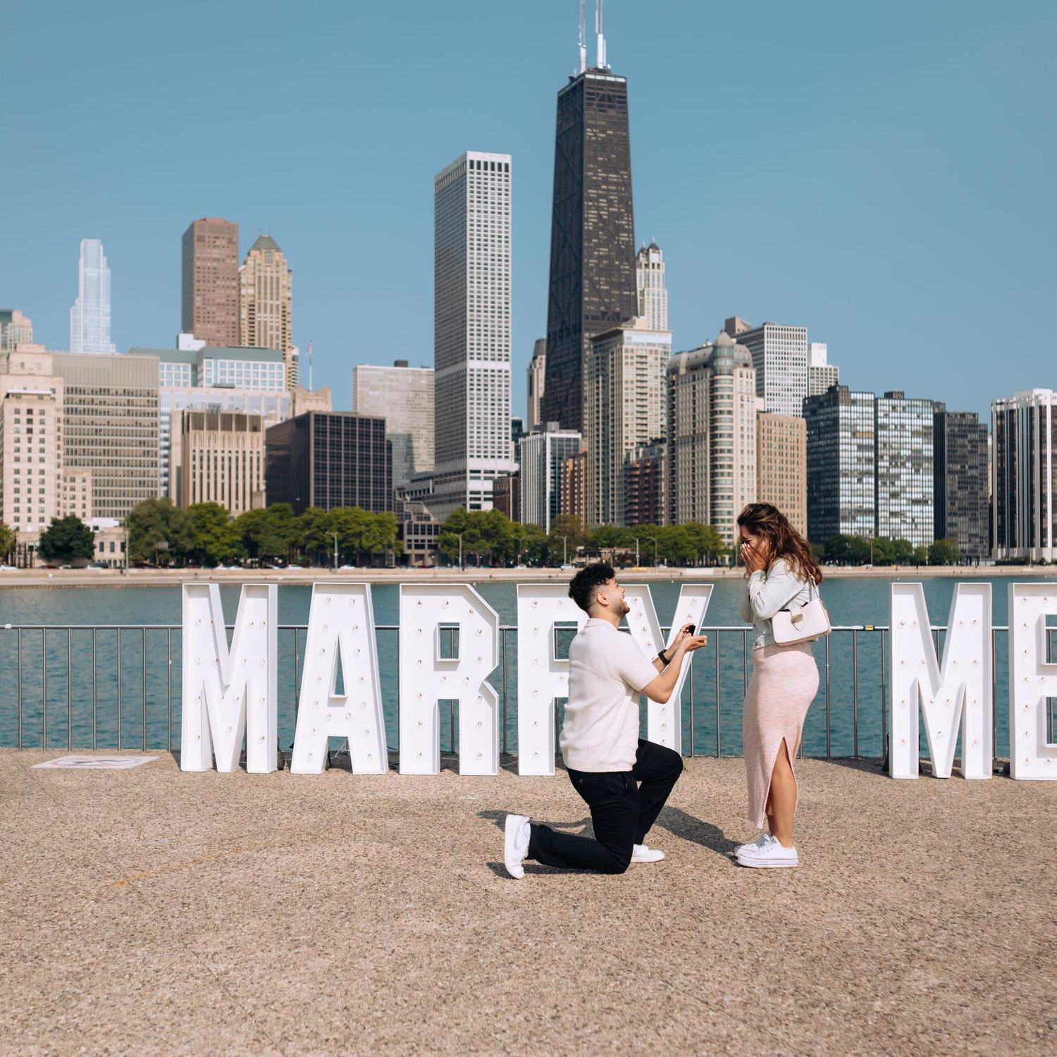 Oscar proposed on June 1st in Chicago!