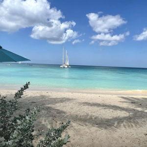 Honeymoon in Barbados!