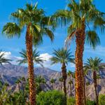 Palm Springs